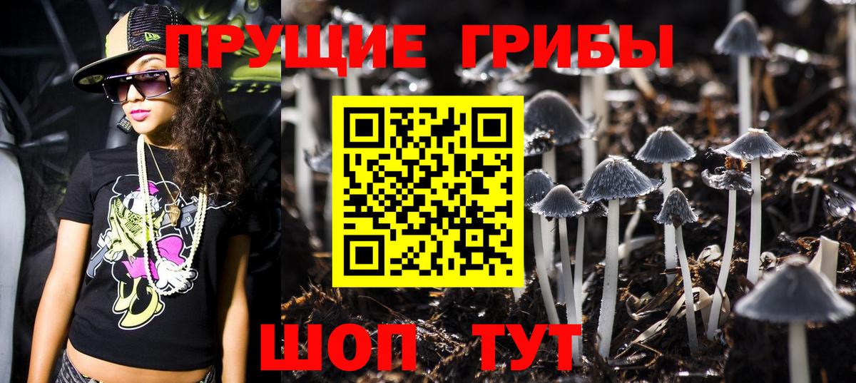Истра  Галлюциногенные грибы MAGIC MUSHROOMS  Вход с VPN 