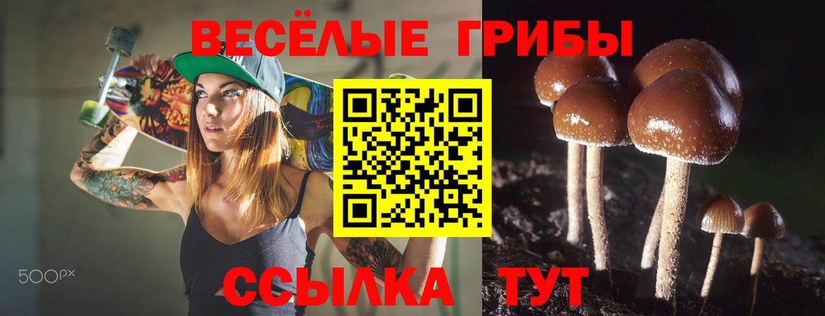 Псилоцибиновые грибы Cubensis Истра